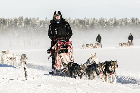 MTI_TundraHuskies1.jpg