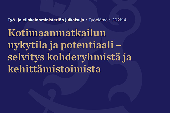 TEM_julkaisu_web.png